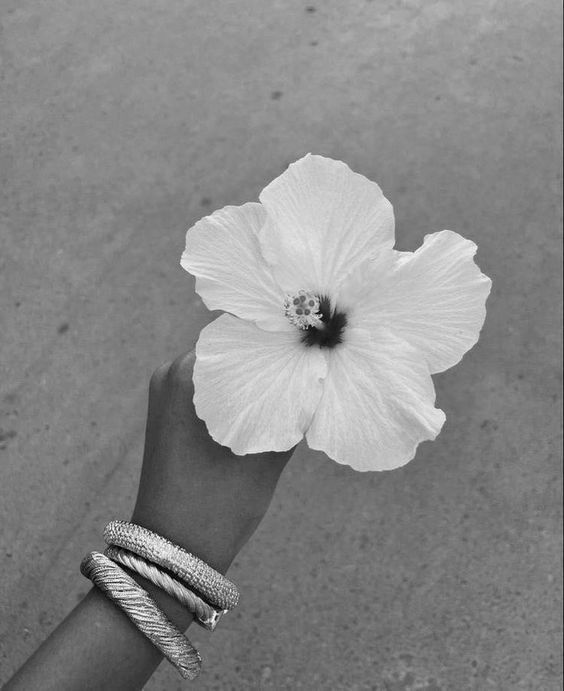 Black and white flower in hand